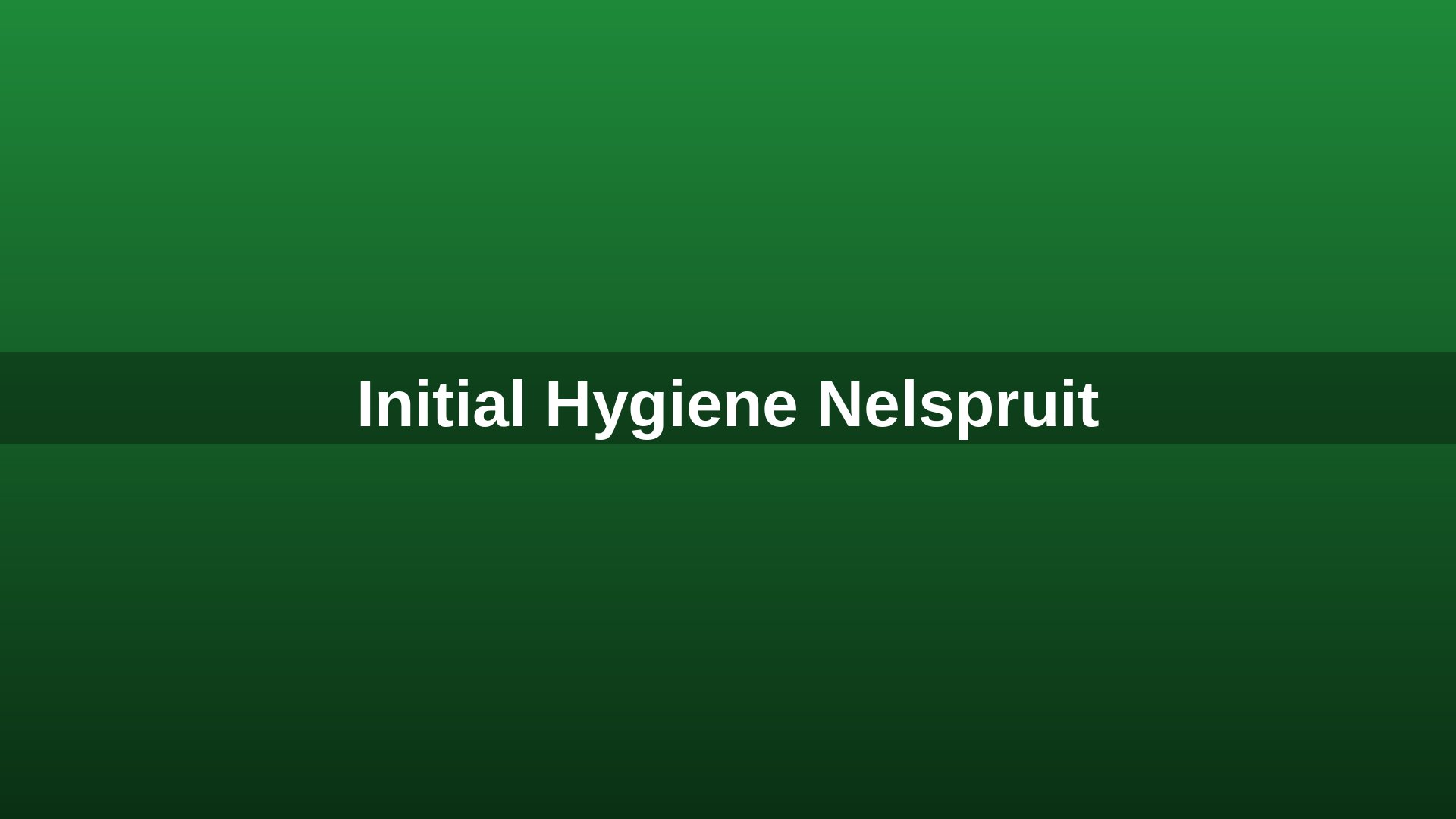 Initial Hygiene Nelspruit team